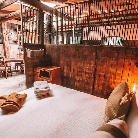 Crash'nstay - Paardenstal