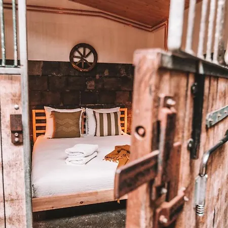 Crash'nstay - Paardenstal * Sprang