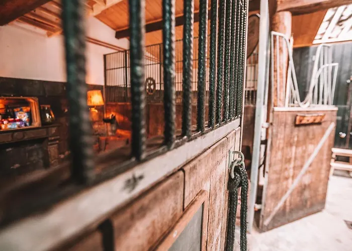 Crash'nstay - Paardenstal