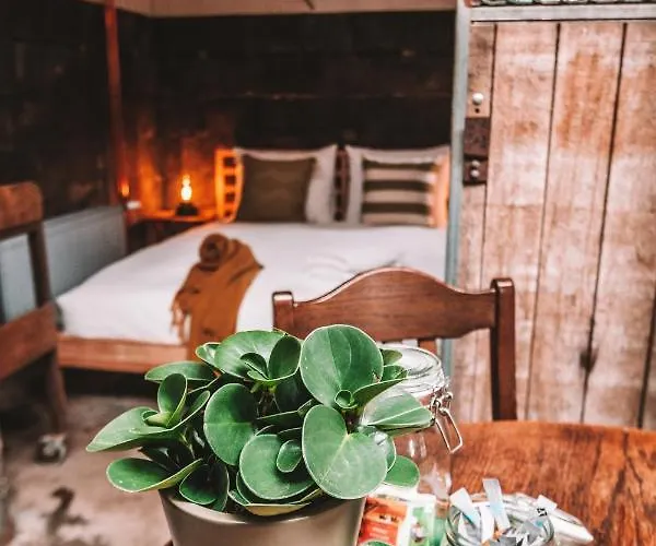 Crash'nstay - Paardenstal