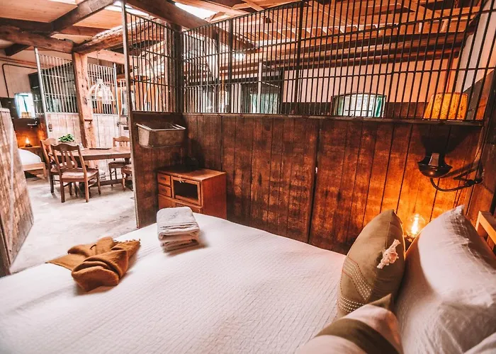 Crash'nstay - Paardenstal